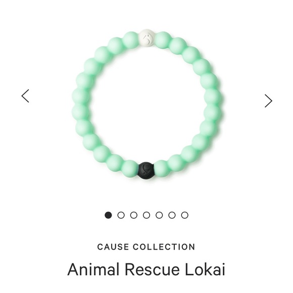 Animal Rescue Lokai - Picture 1 of 10